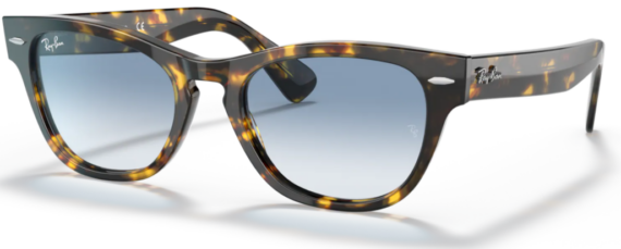 RAY BAN LARAMIE Sunčane naočare 0RB2201 13323F 54