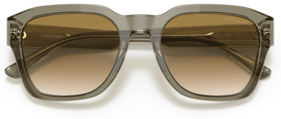 EMPORIO ARMANI Sunčane naočare 0EA4175 588413 55