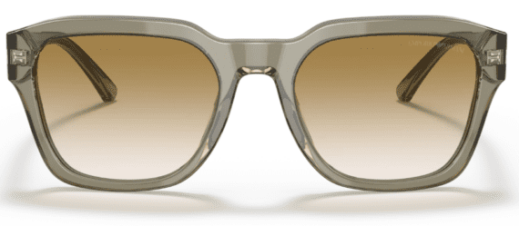 EMPORIO ARMANI Sunčane naočare 0EA4175 588413 55