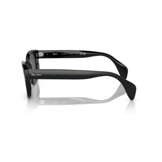 RAY BAN Sunčane naočare 0RB0880S 901/31 52