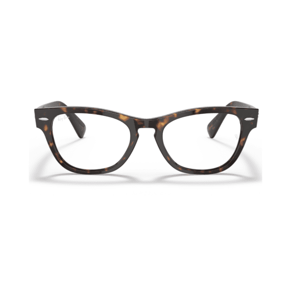 RAY BAN LARAMIE Okviri 0RX2201V 2012 51