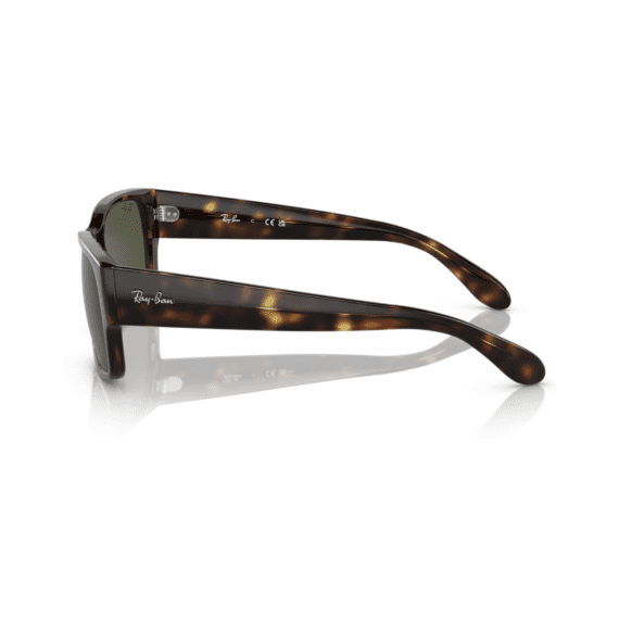 RAY BAN Sunčane naocare 0RB4388 710/31 55