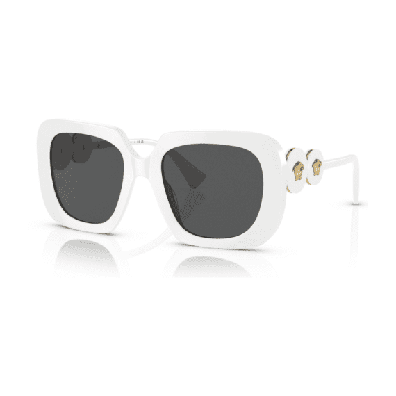 VERSACE Sunčane naočare 0VE4434 314/87 54