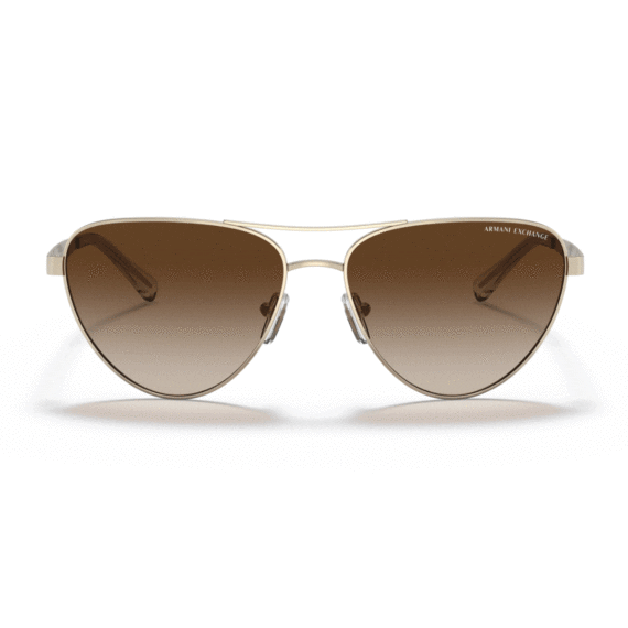 ARMANI EXCHANGE Sunčane naočare 0AX2042S 611013 57