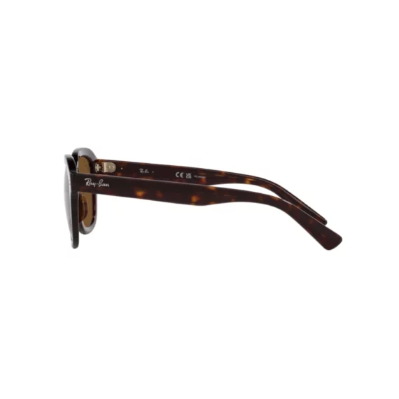 RAY-BAN ERIK POLARIZOVANE Sunčane naočare 0RB4398 902/57 51