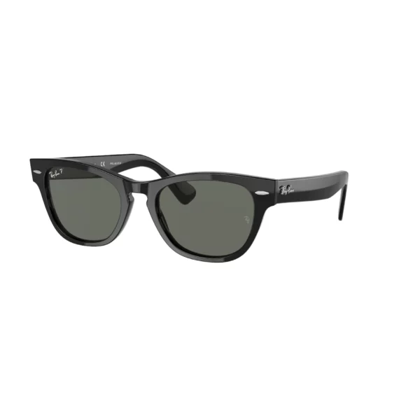 RAY BAN LARAMIE POLARIZOVANE Sunčane naočare 0RB2201 901/58 54