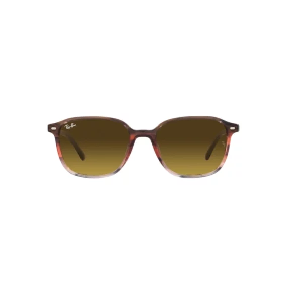 RAY BAN LEONARD Sunčane naocare 0RB2193 138085 53