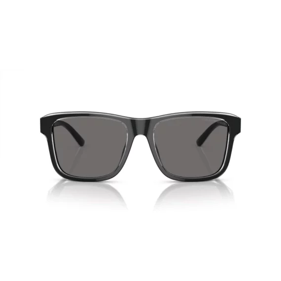 EMPORIO ARMANI Sunčane naočare 0EA4208 605187 56