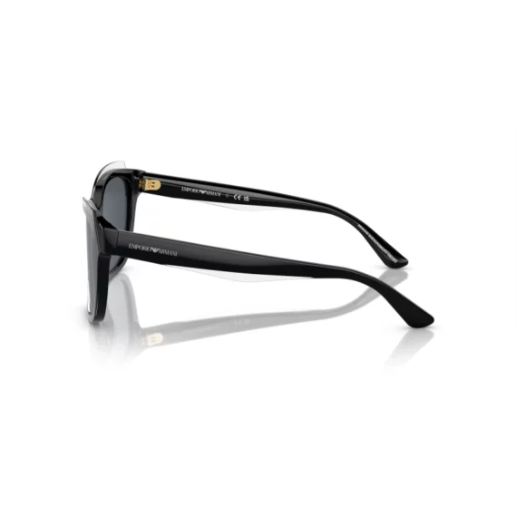 EMPORIO ARMANI Sunčane naočare 0EA4209 605187 54