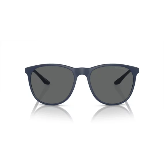 EMPORIO ARMANI Sunčane naočare 0EA4210 576387 56