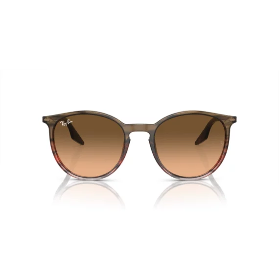 RAY BAN Sunčane naočare 0RB2204 13953B 51