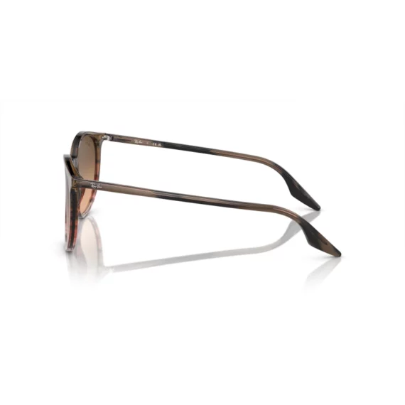 RAY BAN Sunčane naočare 0RB2204 13953B 51