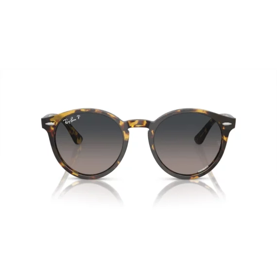 RAY BAN CHROMANCE POLARIZOVANE LARRY Sunčane naočare 0RB7680S 1332GL 49-51