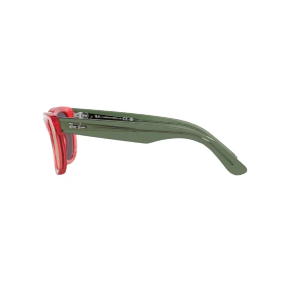 RAY BAN WAYFARER REVERSE Sunčane naočare 0RBR0502S 67132O 50