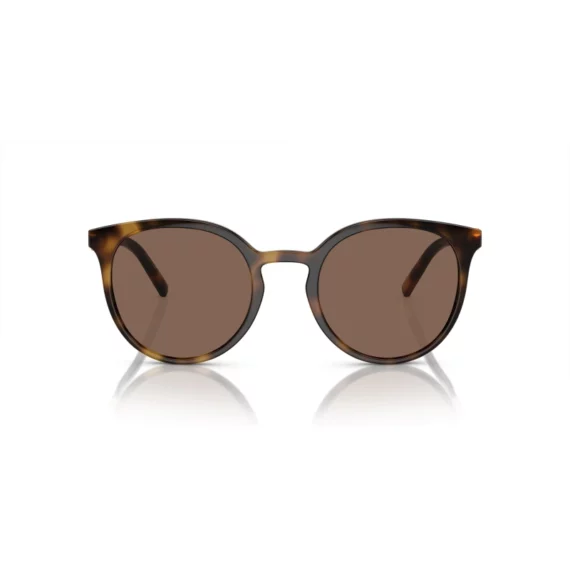 DOLCE & GABBANA Sunčane naočare 0DG6189U 502/73 52