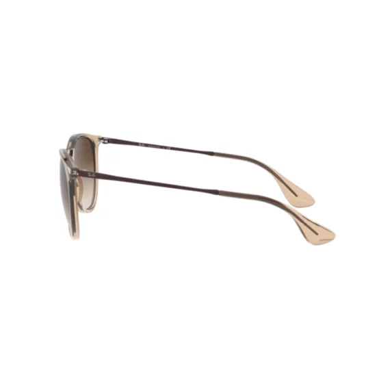 RAY BAN ERIKA Sunčane naočare 0RB4171 651413 54