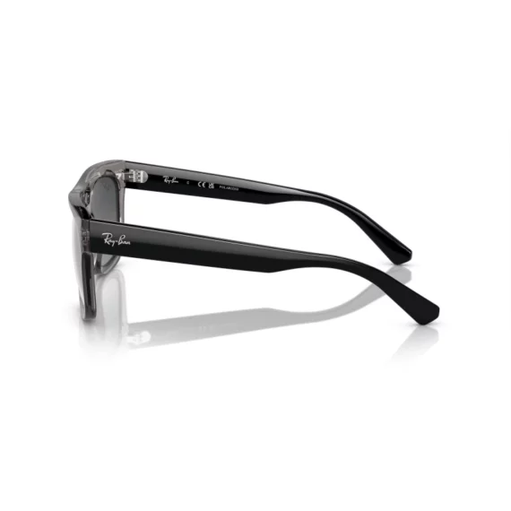 RAY BAN POLARIZOVANE Sunčane naočare 0RB4426 672582 54