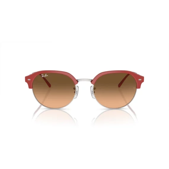 RAY BAN Sunčane naočare 0RB4429 67223B 55