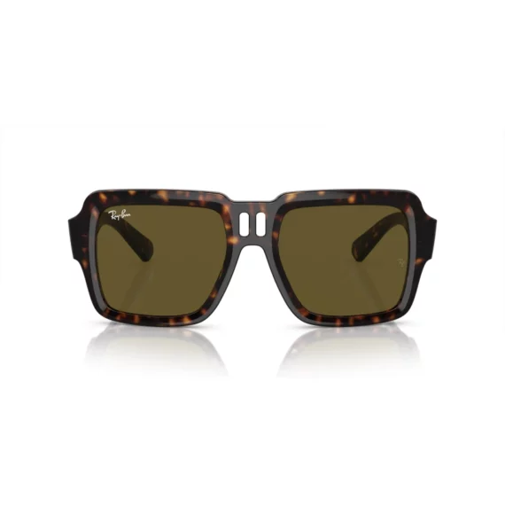 RAY BAN MAGELLAN Sunčane naočare 0RB4408 135973 54