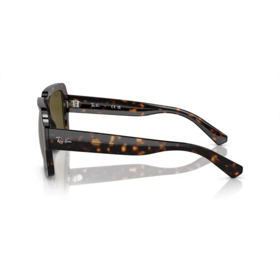 RAY BAN MAGELLAN Sunčane naočare 0RB4408 135973 54