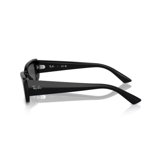 RAY BAN TERU Sunčane naočare 0RB4425 667787 54