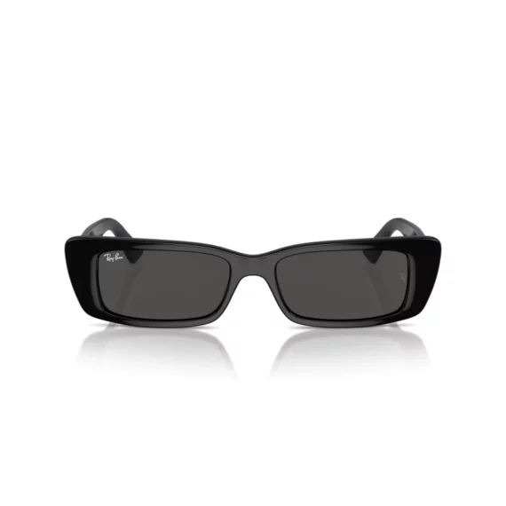 RAY BAN TERU Sunčane naočare 0RB4425 667787 54