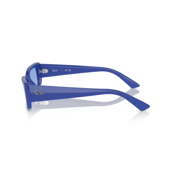 RAY BAN TERU Sunčane naočare 0RB4425 676180 54