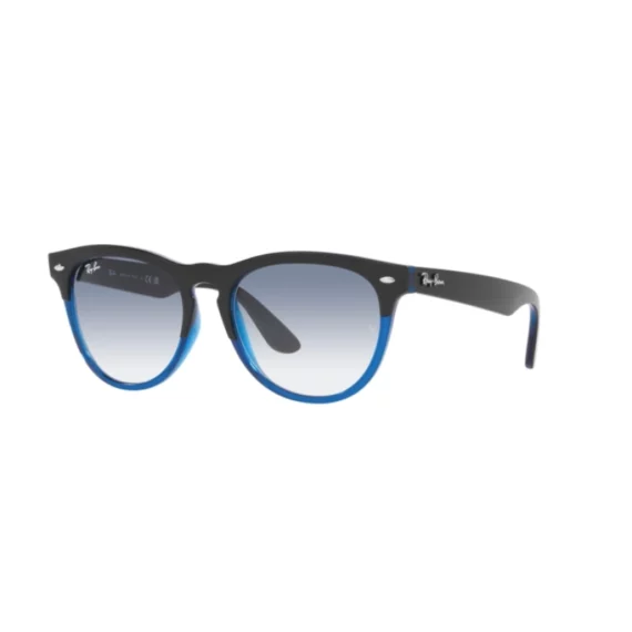 RAY BAN IRIS Sunčane naočare 0RB4471 663219 54