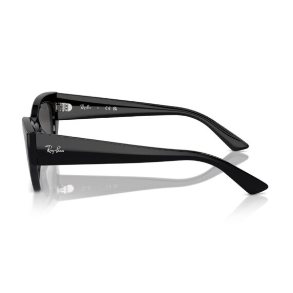 RAY BAN Sunčane naočare 0RB4441D 667787 53