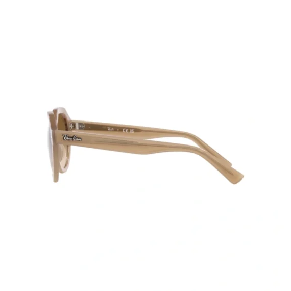 RAY-BAN GINA Sunčane naočare 0RB4399 616651 53