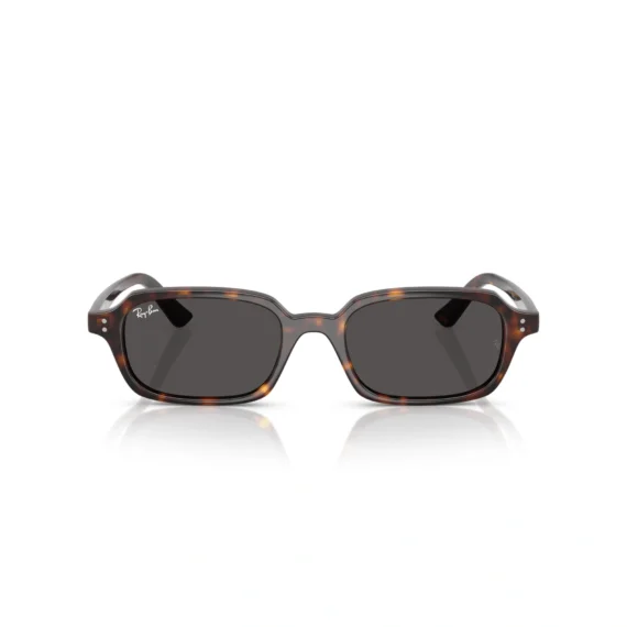 RAY BAN ZURI Sunčane naočare 0RB4455 135987 52