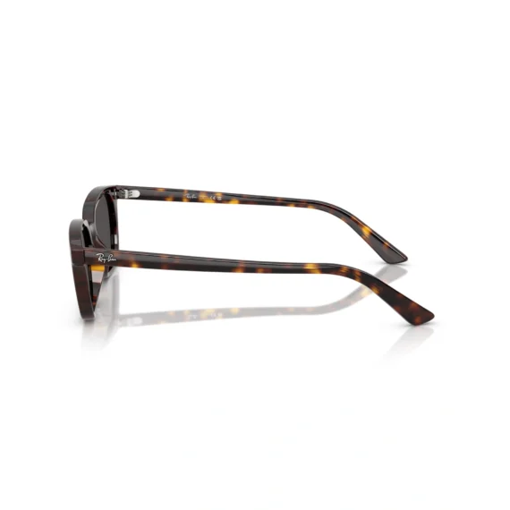 RAY-BAN ZAYA Sunčane naočare 0RB4456 135987 50 & 53