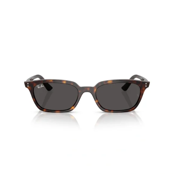 RAY-BAN ZAYA Sunčane naočare 0RB4456 135987 50 & 53