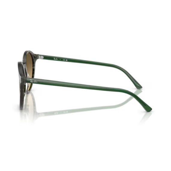 RAY BAN Bernard Sunčane naočare 0RB2230 14210A 51