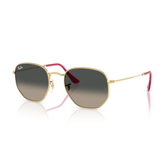 RAY BAN HEXAGONAL Sunčane naočare 0RB3548N 00171 51