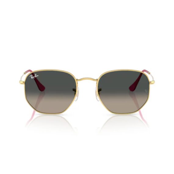 RAY BAN HEXAGONAL Sunčane naočare 0RB3548N 00171 51