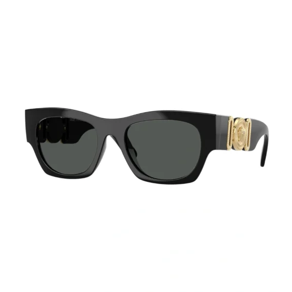 VERSACE POLARIZOVANE Sunčane naočare 0VE4479U GB1/87 52