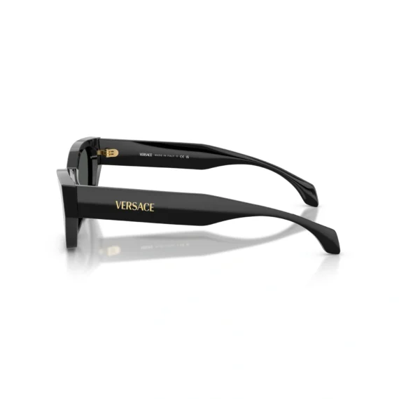 VERSACE Sunčane naočare 0VE4488U GB1/87 53