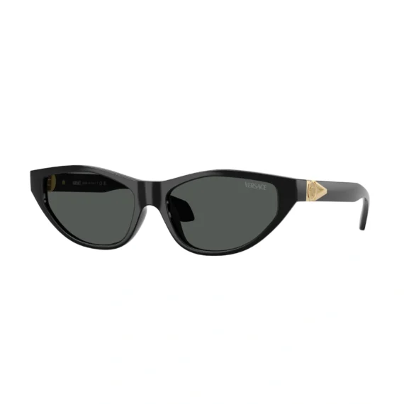 VERSACE Sunčane naočare 0VE4491U GB1/87 55