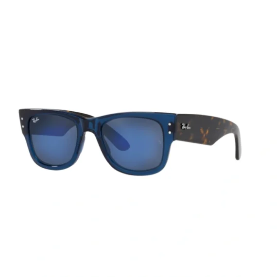 RAY BAN Sunčane naočare 0RB0840S 6638O4 51