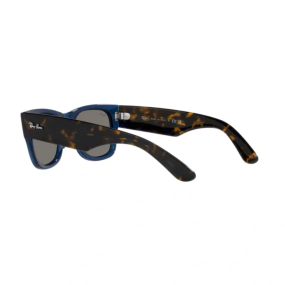 RAY BAN Sunčane naočare 0RB0840S 6638O4 51