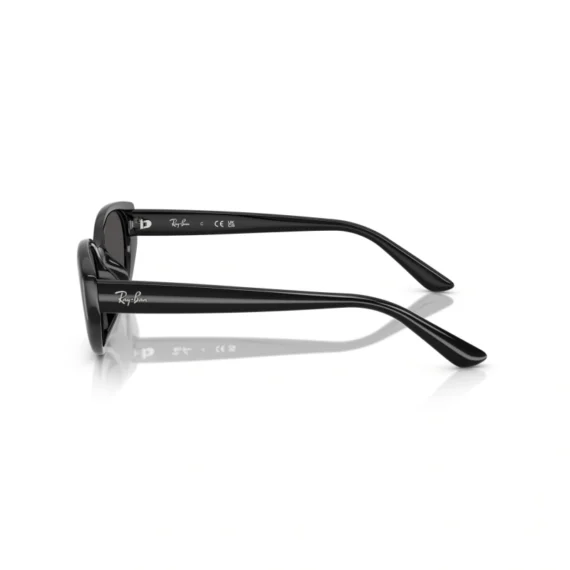 RAY BAN Sunčane naočare 0RB4457D 667711 55