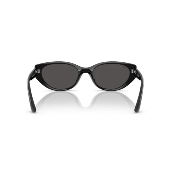 RAY BAN Sunčane naočare 0RB4457D 667711 55