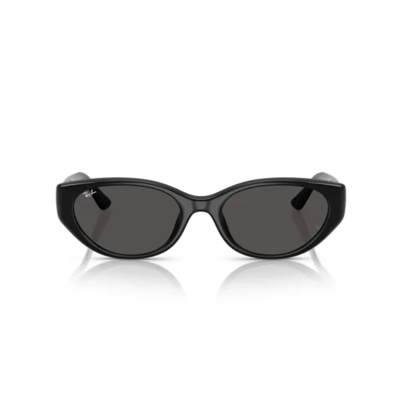 RAY BAN Sunčane naočare 0RB4457D 667711 55
