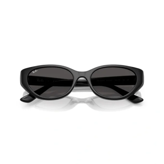 RAY BAN Sunčane naočare 0RB4457D 667711 55