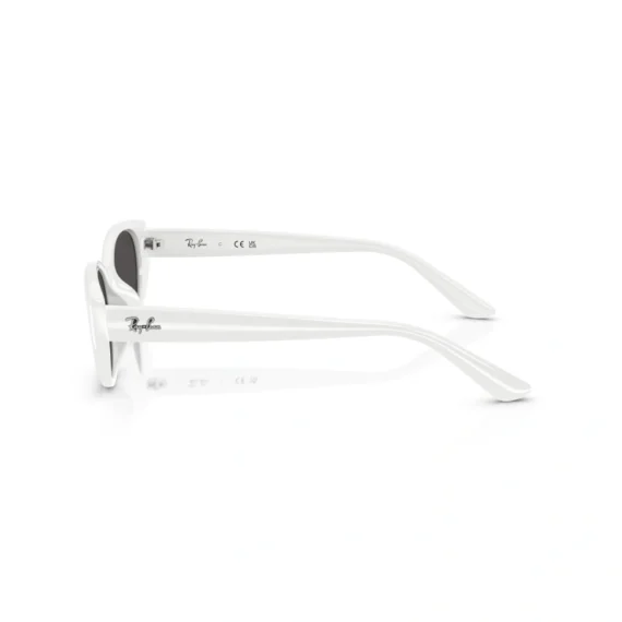 RAY BAN Sunčane naočare 0RB4457D 677287 55