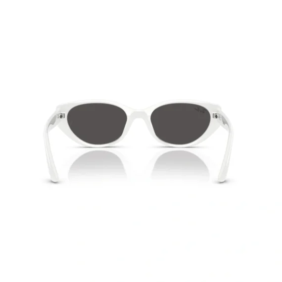 RAY BAN Sunčane naočare 0RB4457D 677287 55