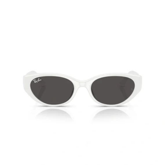 RAY BAN Sunčane naočare 0RB4457D 677287 55