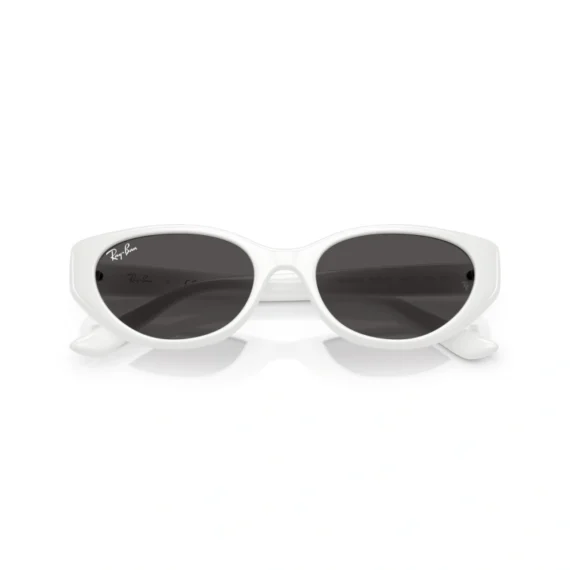 RAY BAN Sunčane naočare 0RB4457D 677287 55