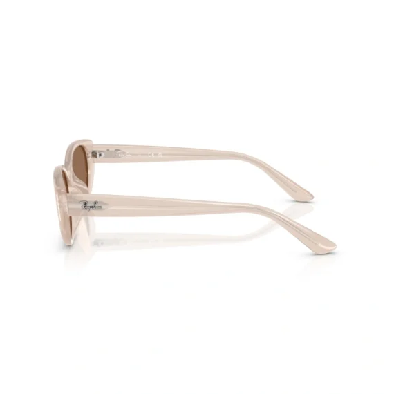 RAY BAN Sunčane naočare 0RB4457D 678673 55